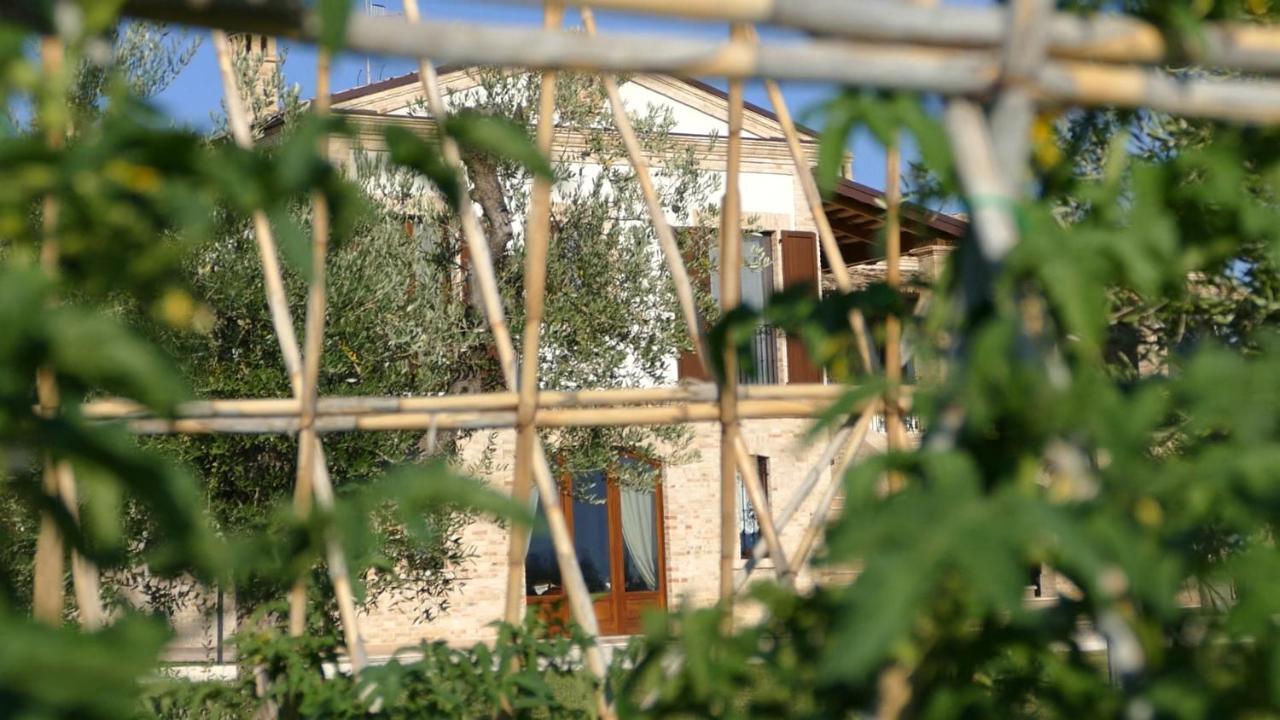 Residence Colle Veroni Mosciano Sant'Angelo Exterior photo