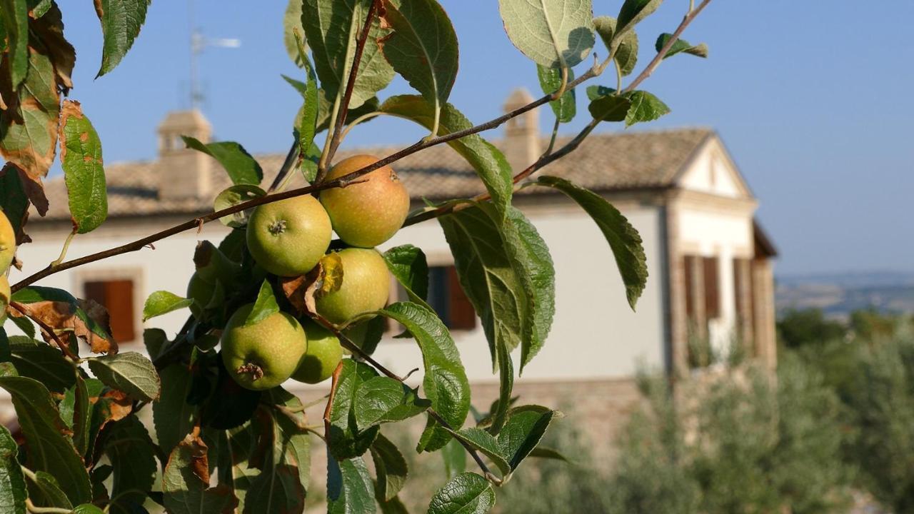 Residence Colle Veroni Mosciano Sant'Angelo Exterior photo